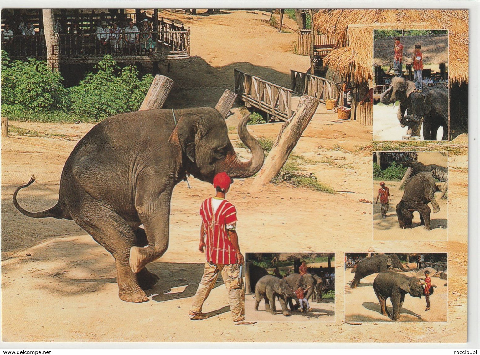 Thailand, Elephant Training, Chiangmai - Thailand