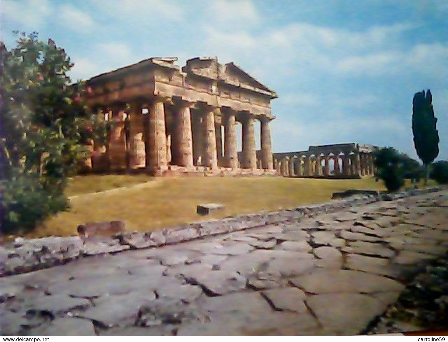 25 CARDS  PAESTUM SA VEDUTE SALUTI CAMPING  VBN1960<  IN5374