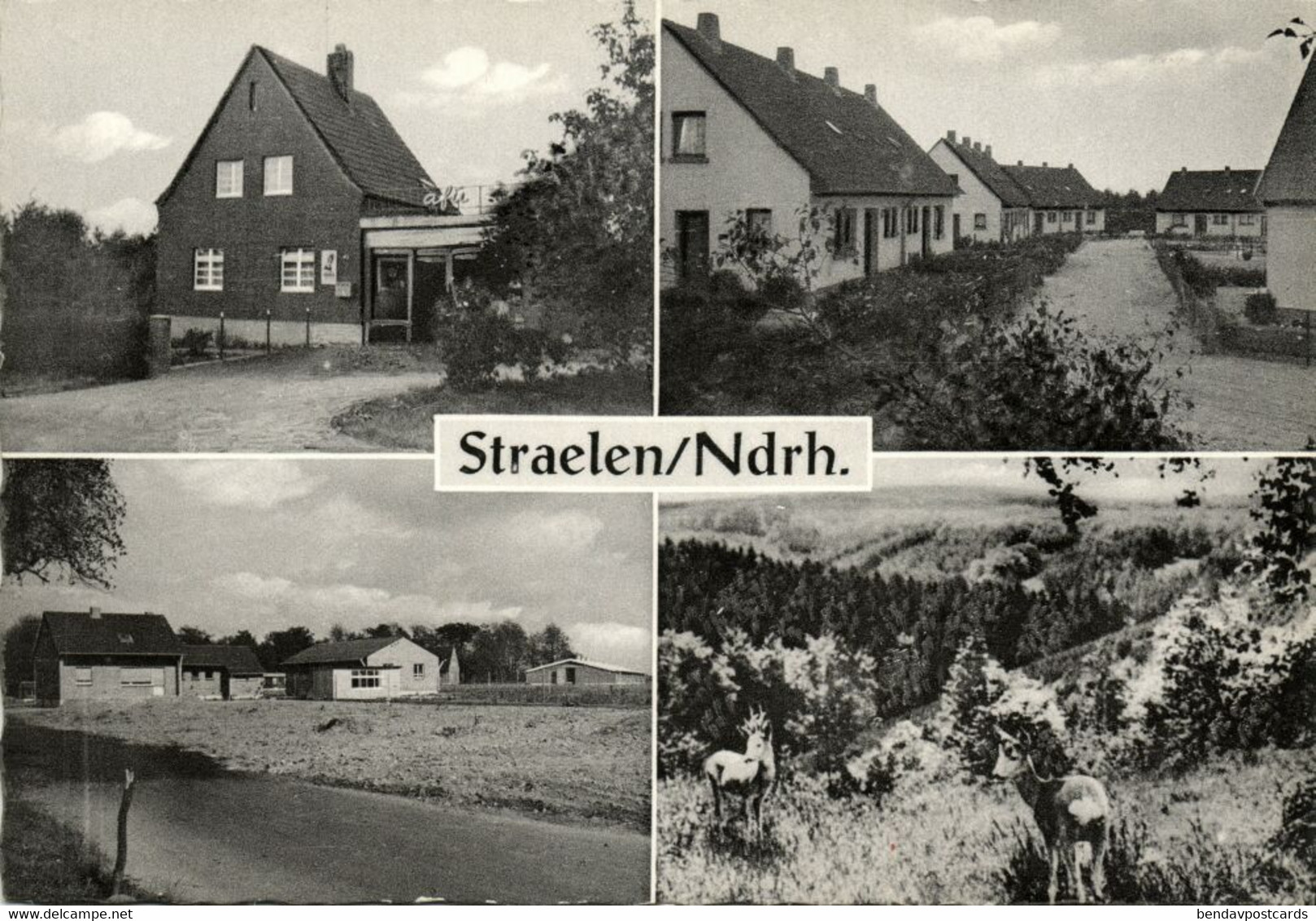 STRAELEN, Mehrbildkarte, Adelg. Stienen Lebensmittel (1950s) AK - Straelen