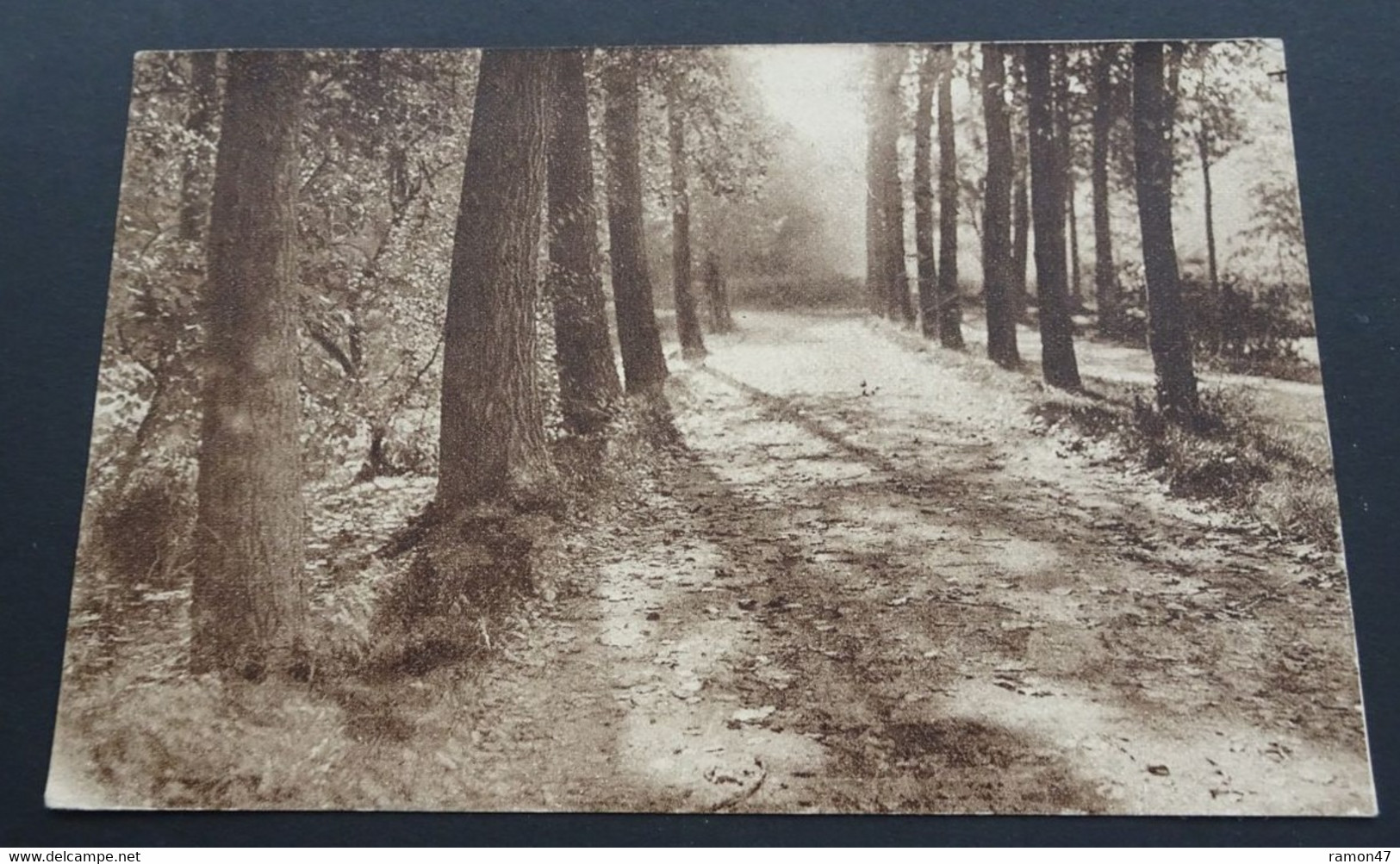 Rouge-Cloître - Chemin Des Etangs - Auderghem - Oudergem