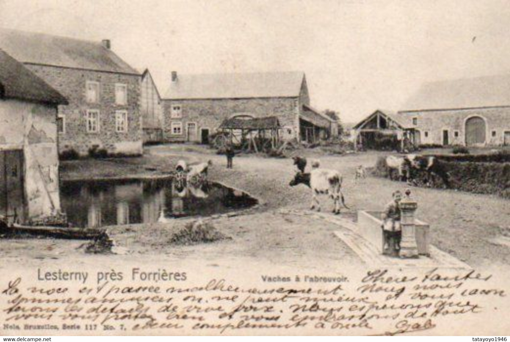 Lesterny Près De Forrieres  Vaches à L'abreuvoir Fontaine Bien Animée Voyagé En 1908 - Nassogne