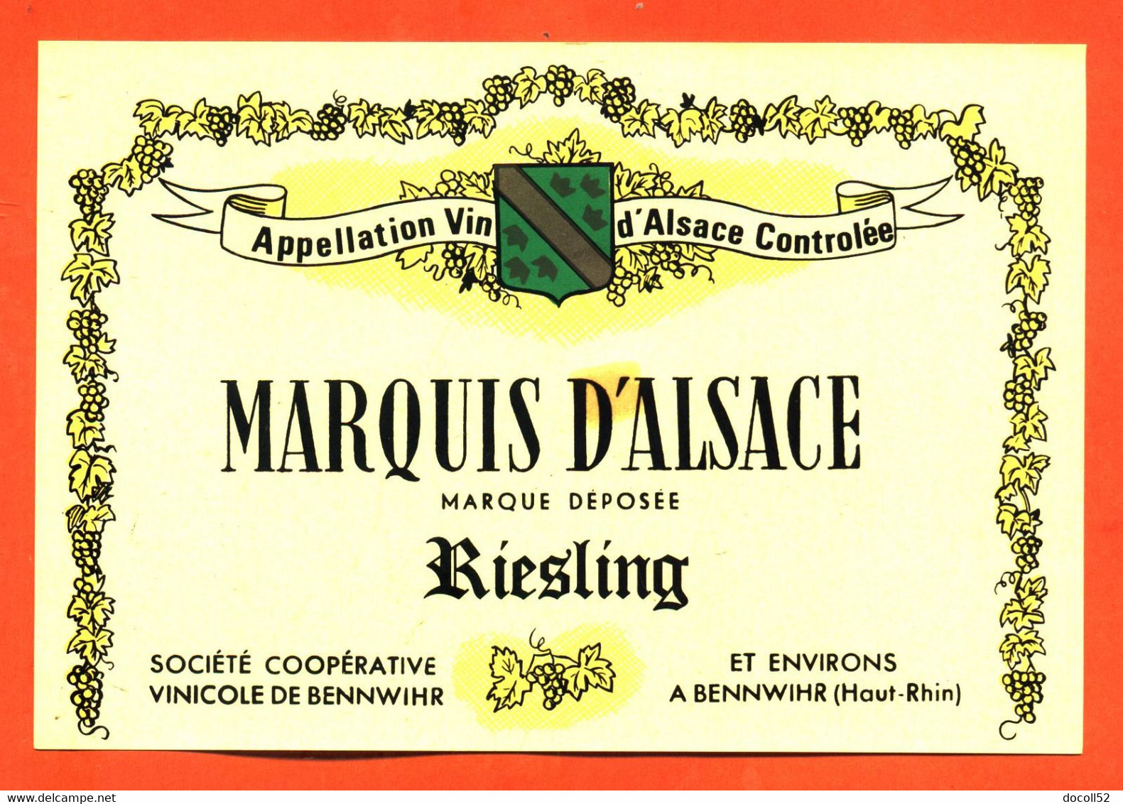Etiquette Neuve De Vin D'alsace Marquis D'alsace Riesling Coopérative Vinicole De Bennwihr - Riesling