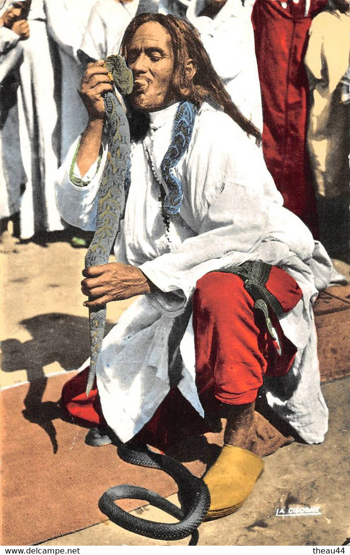 ¤¤   -  MAROC   -   Scènes Et Types   -  Charmeur De Serpents         -   ¤¤ - Altri & Non Classificati