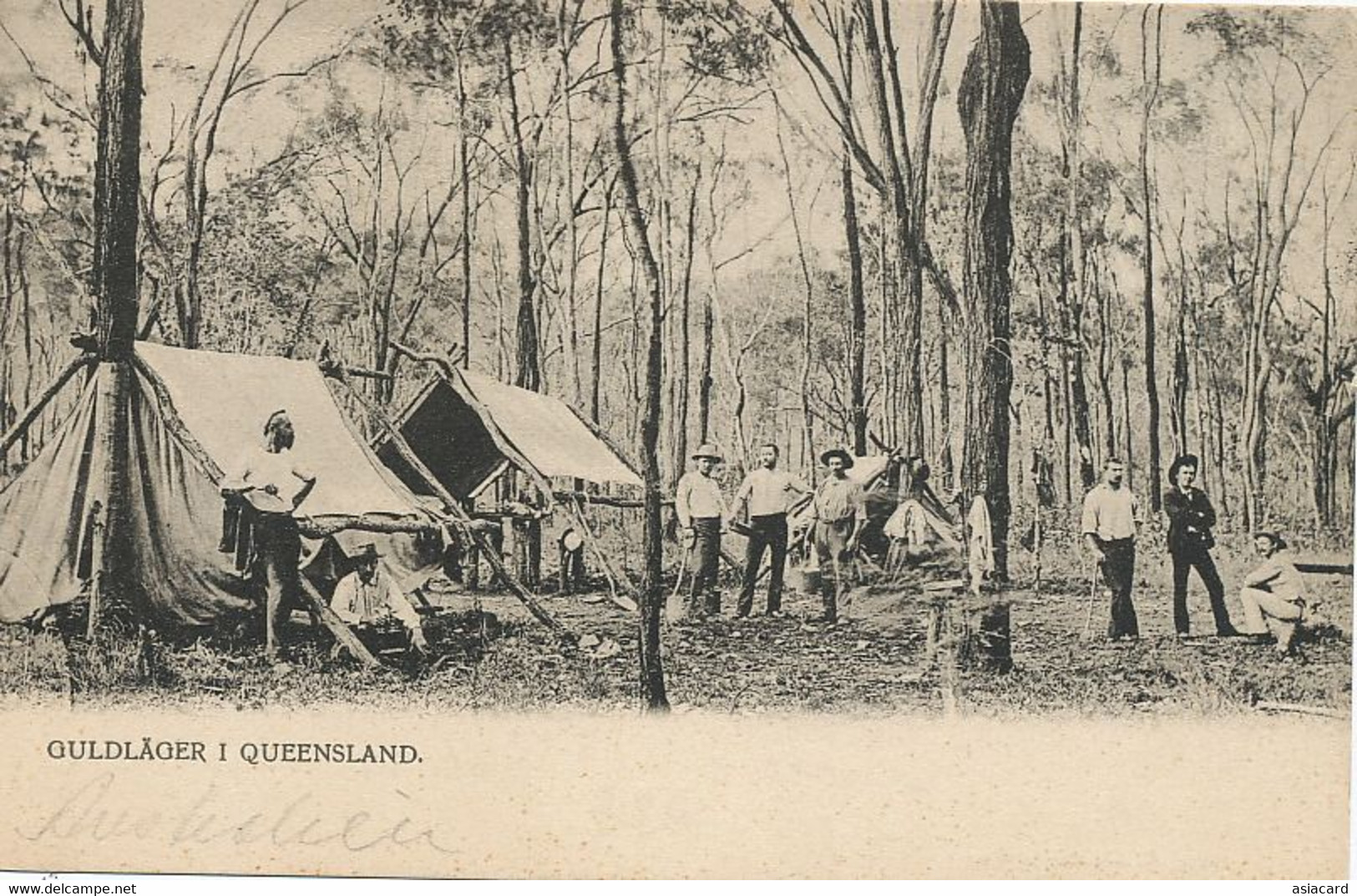 Guldlager I Queensland Undivided Back  Swedish Editor Gold Miners Camp Gold Mine Chercheur Or - Autres & Non Classés