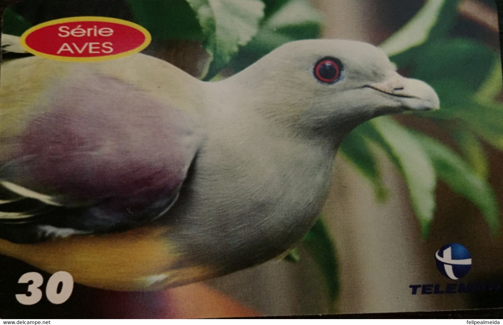 Phone Card Manufactured By Telemars In 2001 - Birds Special Series - Pomba-treron Species - Águilas & Aves De Presa