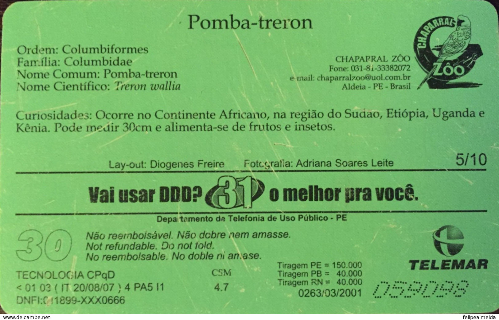 Phone Card Manufactured By Telemars In 2001 - Birds Special Series - Pomba-treron Species - Adler & Greifvögel