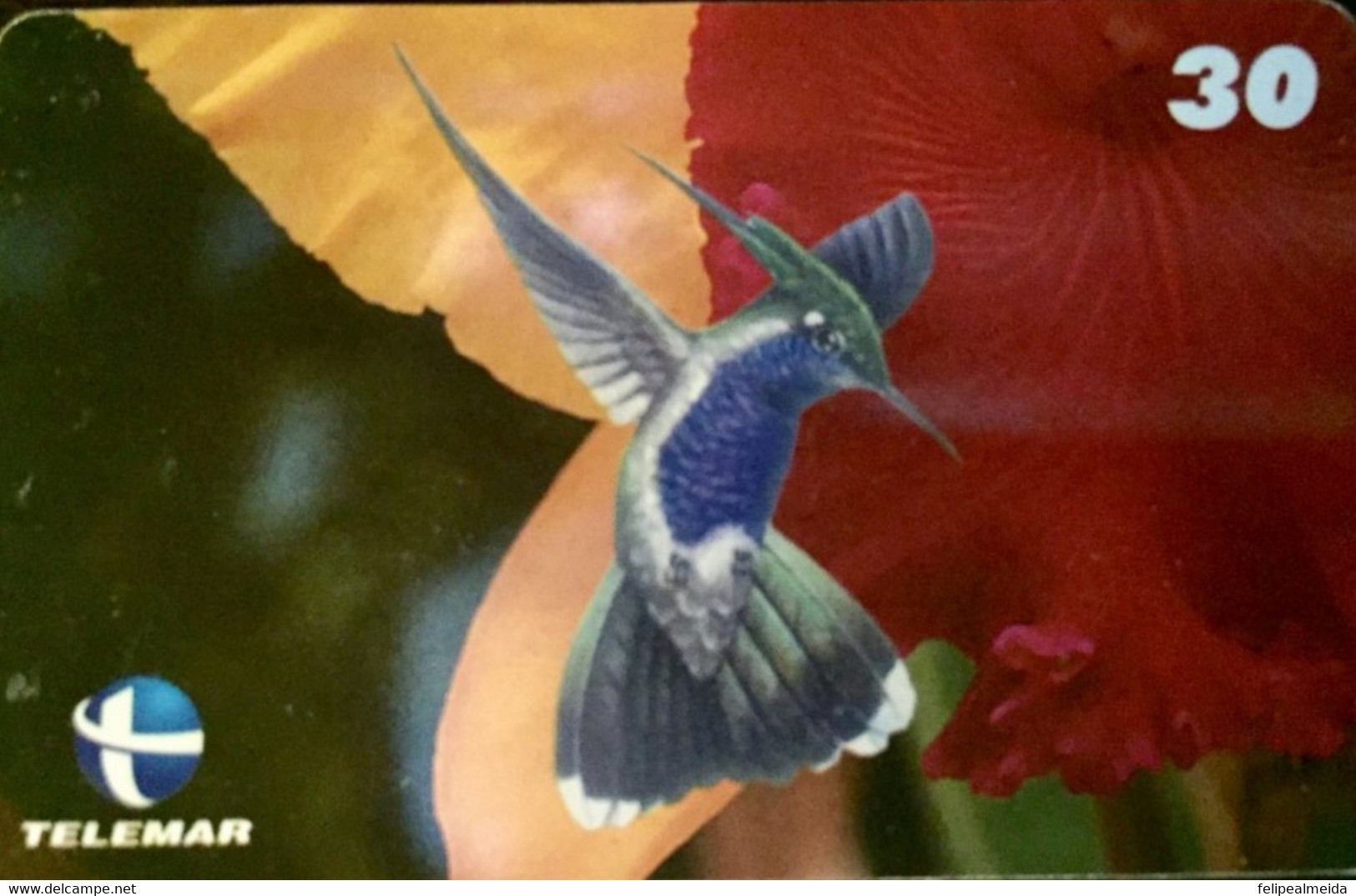Phone Card Manufactured By Telemar In 1999 - Homage To The Green Tufted Hummingbird - Arenden & Roofvogels