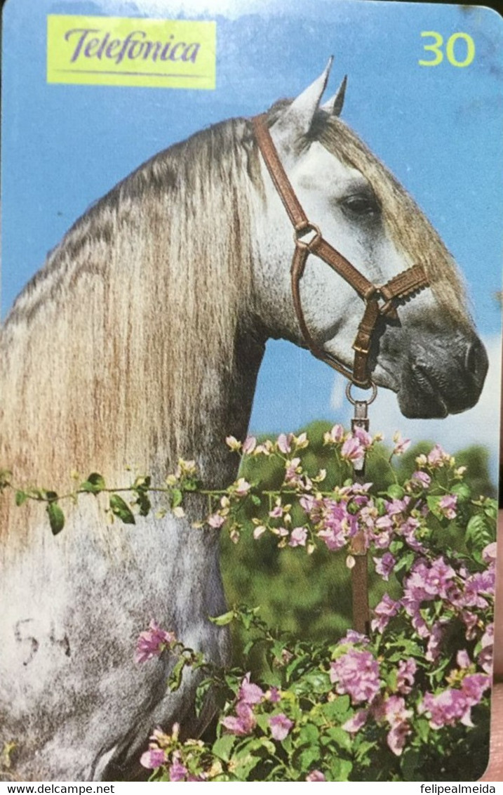 Phone Card Manufactured By Brasil Telefonica In 1999 Special Series Horses - This Card Depicts The Andaluz Horse - Pferde