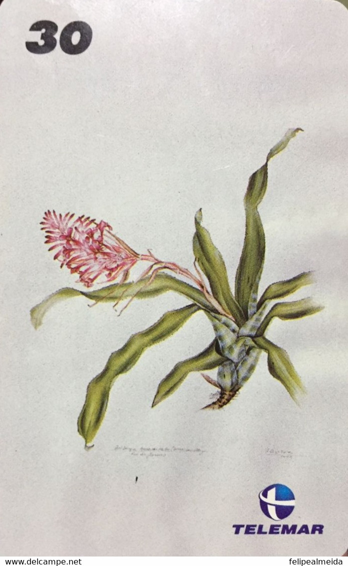 Phone Card Manufactured By Telemar In 2000 - Series Botanical Illustrations - Bromeliad - Billbergia Pyramidalis - Painting