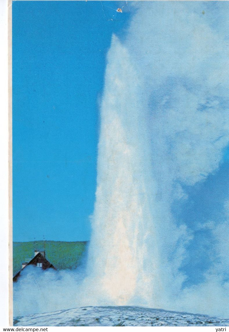 Old Faithful (viaggiata - 1991) - Yellowstone