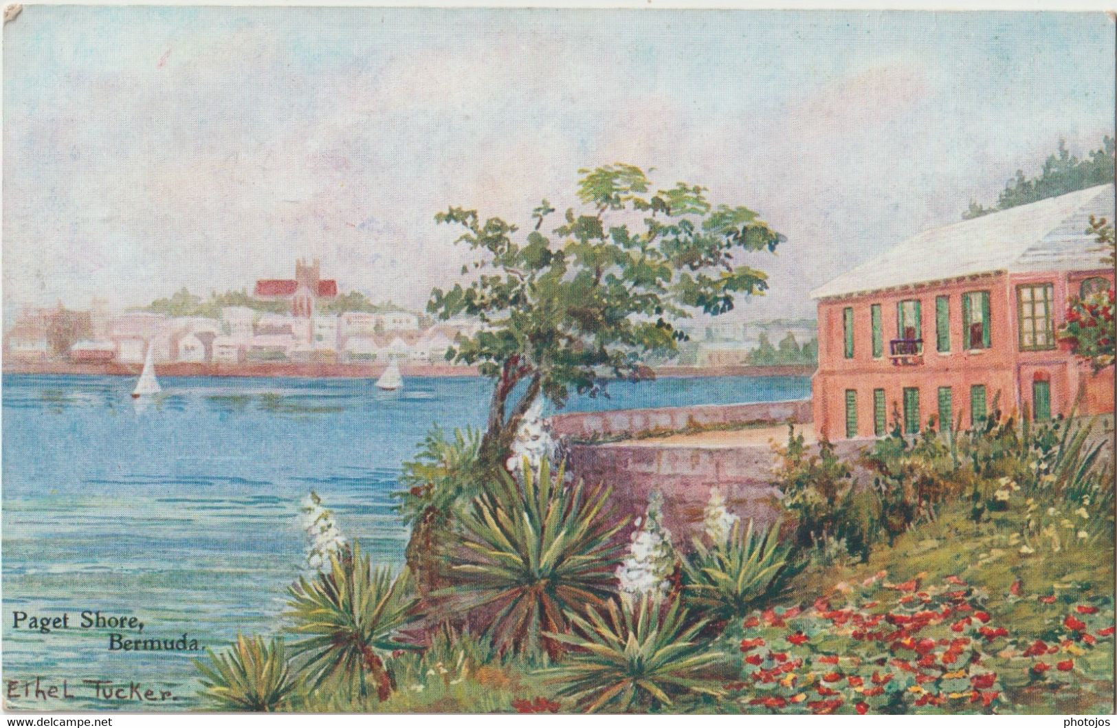 Post Card Bermudes Bermuda Antilles  Illustrator Ethel Tucker   Paget Store   N° 36 - Bermuda