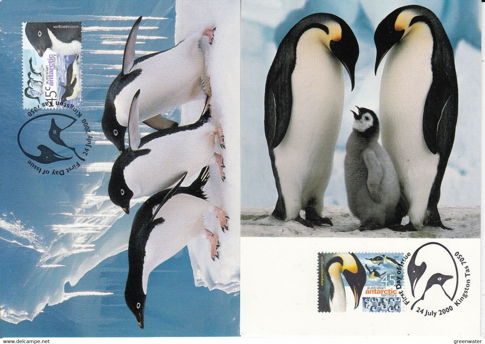AAT 2000 Penguins 2v 2 Maxicards (AAT173) - Tarjetas – Máxima