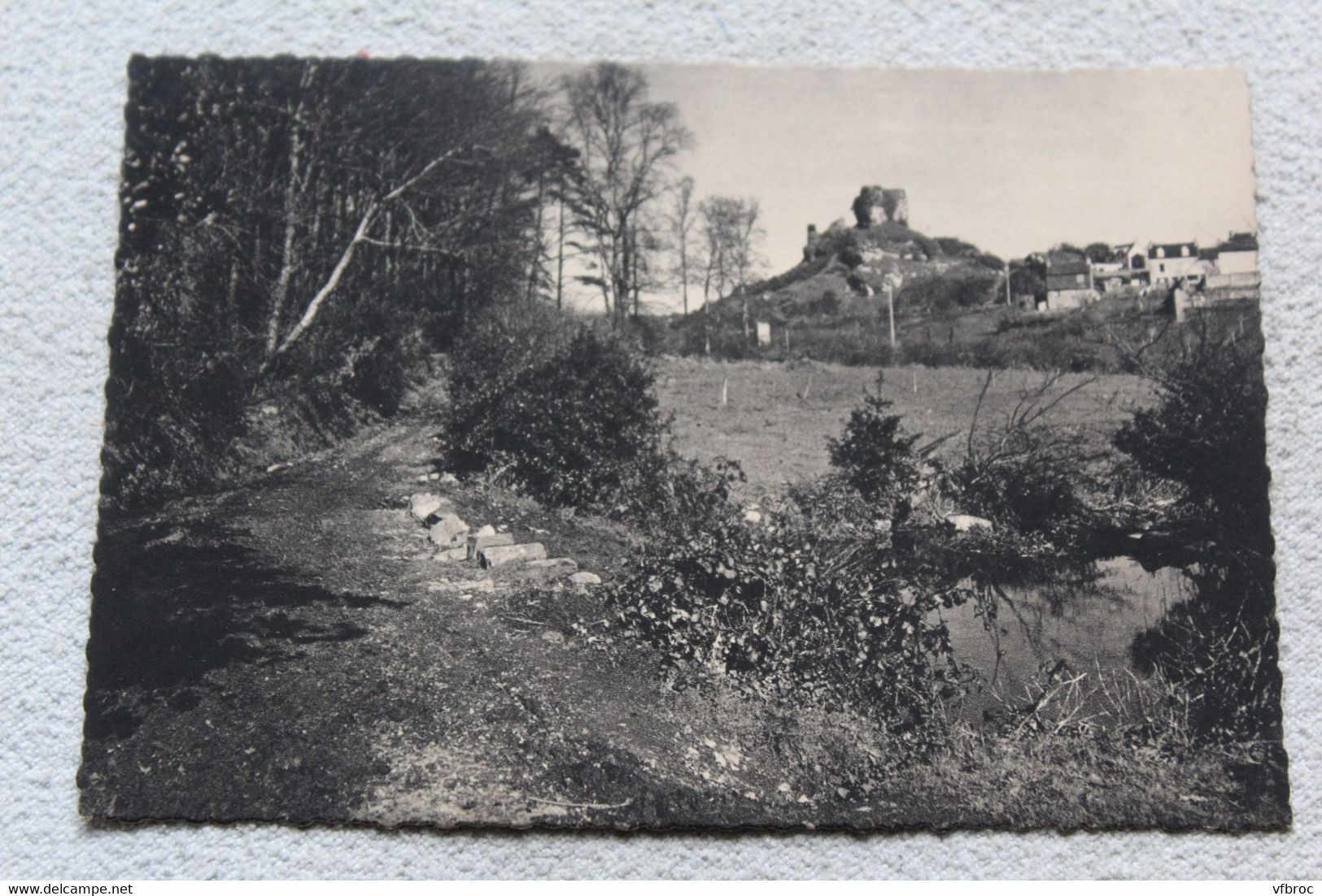 Cpm, La Roche Maurice, Le Bois Du Pontois Et Le Château, Finistère 29 - La Roche-Maurice