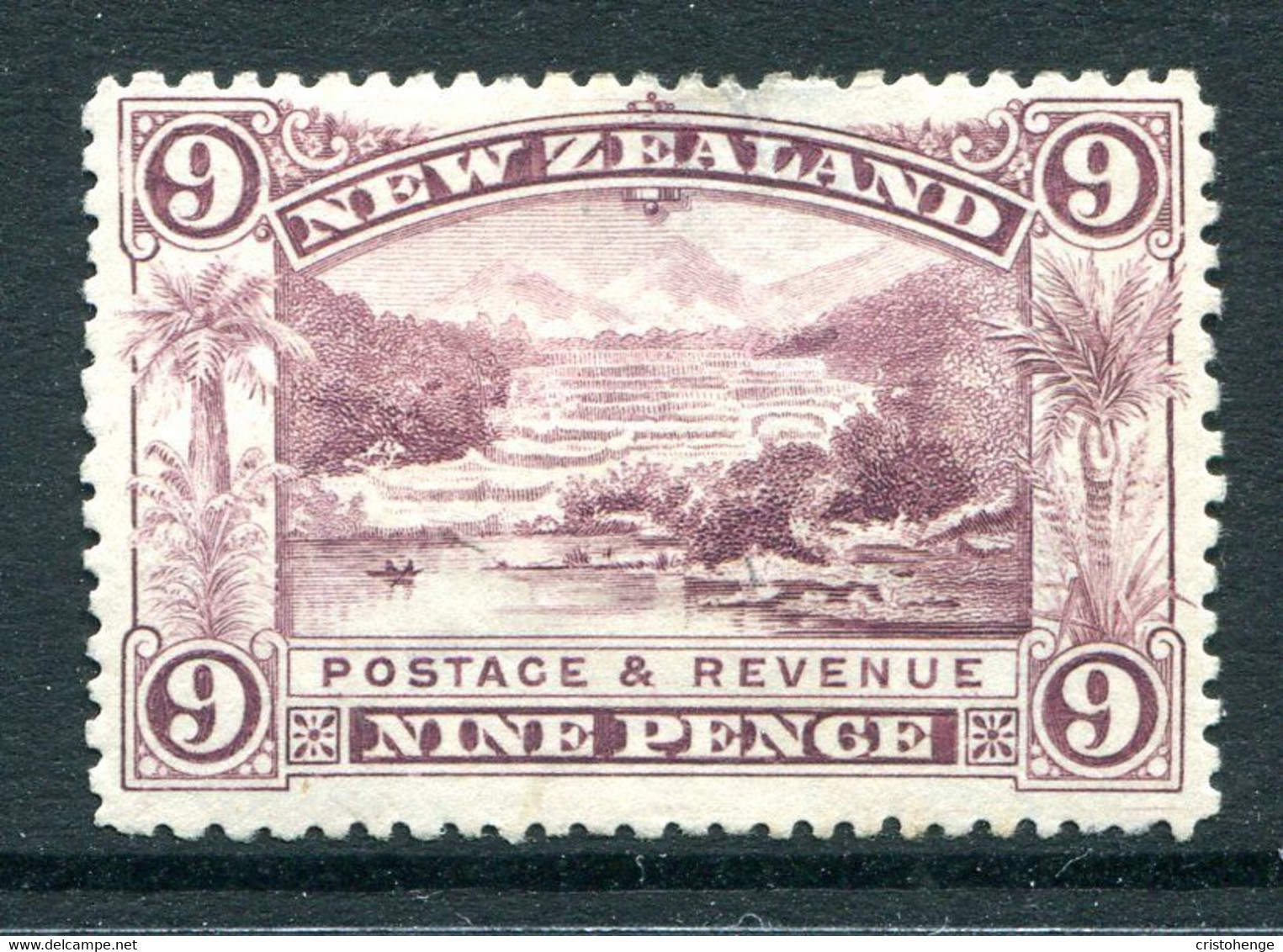 New Zealand 1898 Pictorials - No Wmk. - 9d Pink Terrace HM (SG 256) - Neufs