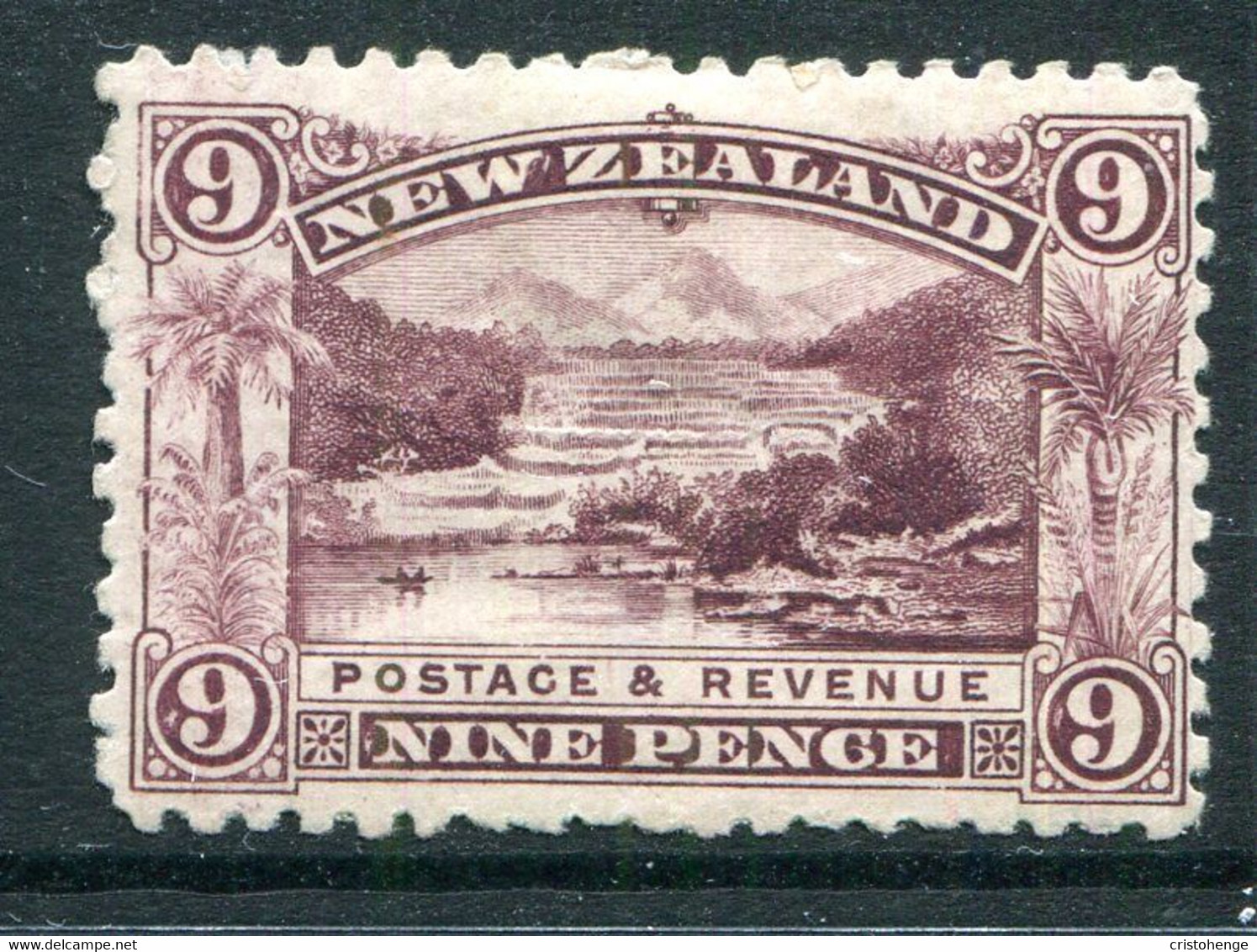 New Zealand 1899-03 Pictorials - No Wmk. - P.11 - 9d Pink Terrace HM (SG 267) - Nuevos
