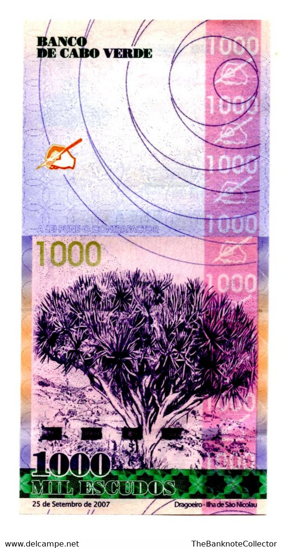 Cape Verde 1000 Escudos 2007 UNC P-70 - Cape Verde