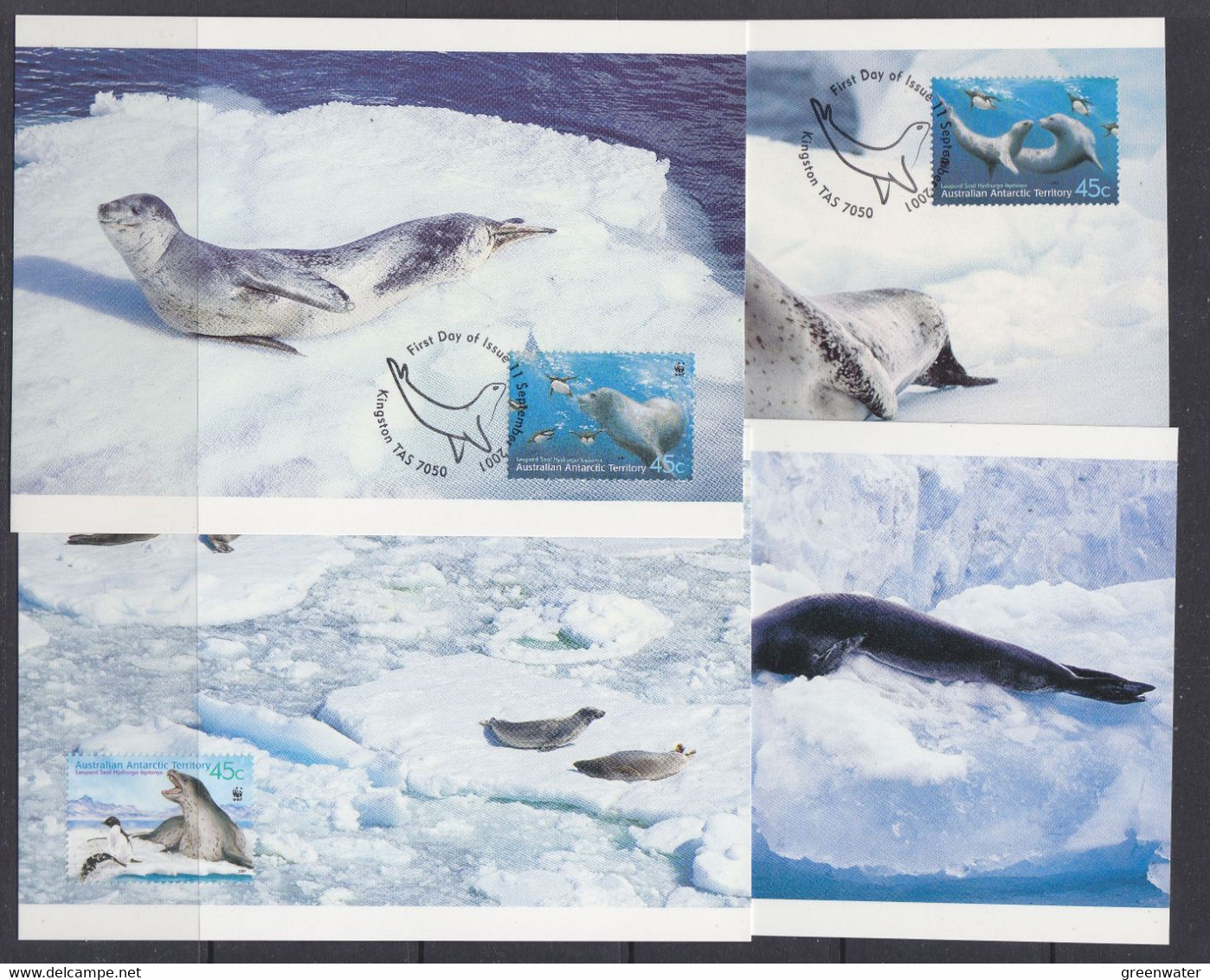 AAT 2001 Leopard Seals 4v 4 Maxicards (AAT178) - Tarjetas – Máxima