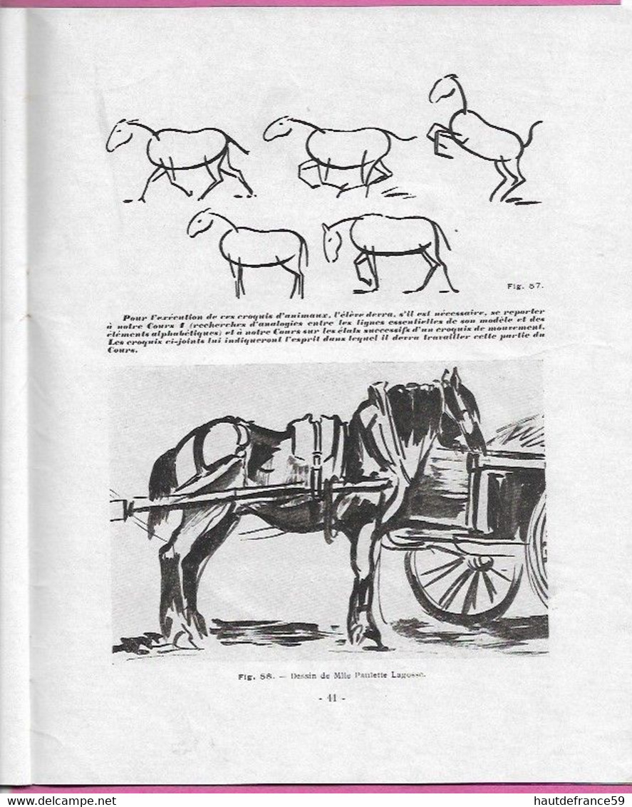 enseignement du dessin COURS A.B.C  Gottschalk 1927 L'ANATOMIE init étude du nu ,les animaux dessins schémas     .