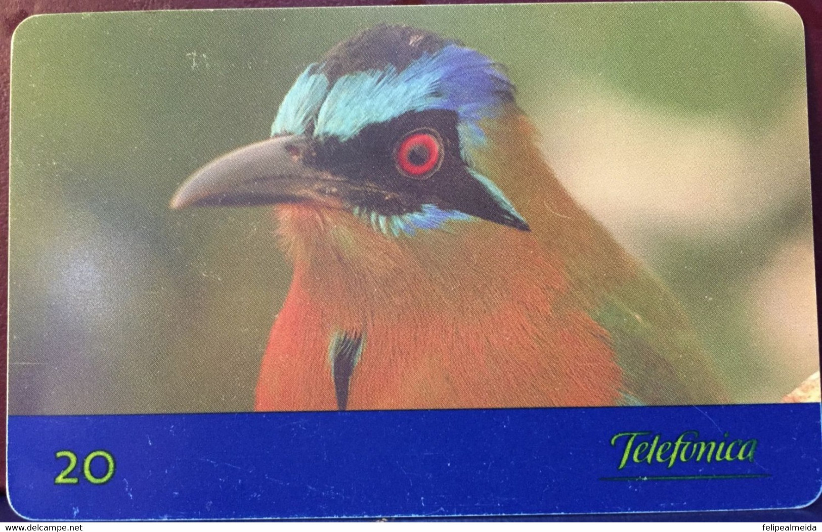 Phone Card Manufactured By Telefônica In 1999 - Aves Do Brasil - Species Juruva - Photographed In The Pantanal - Mat - Eagles & Birds Of Prey