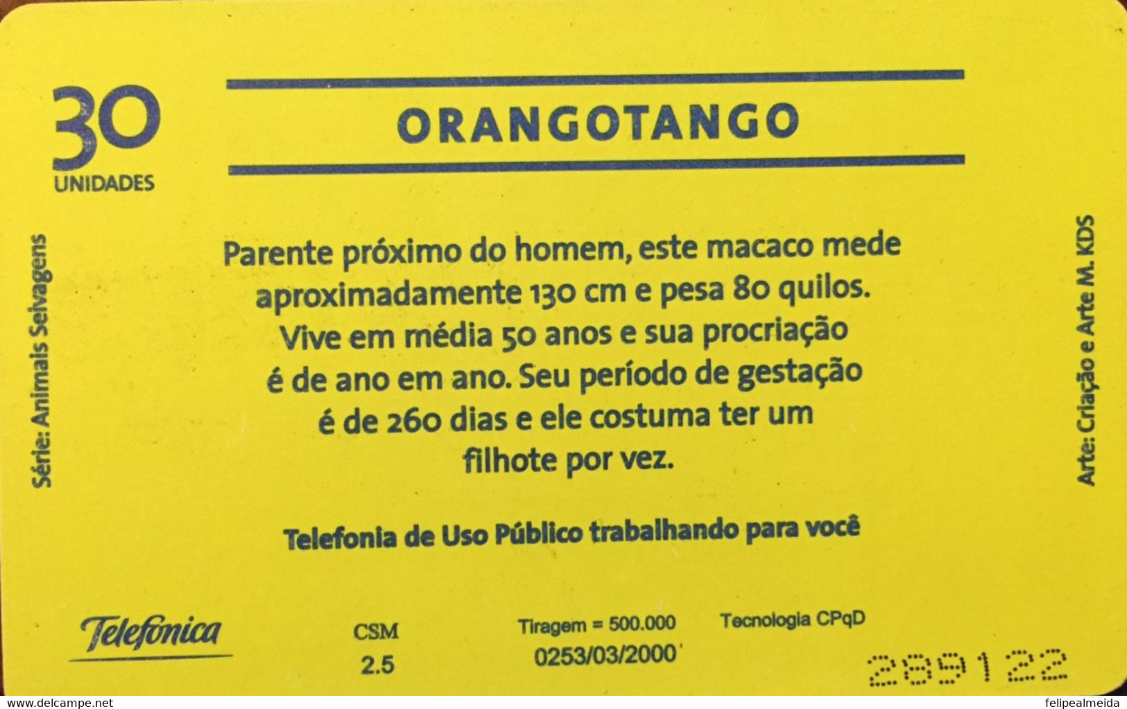 Phone Card Manufactured By Telefónica In 2000 - Series Wild Animals - Urangutan - Jungle