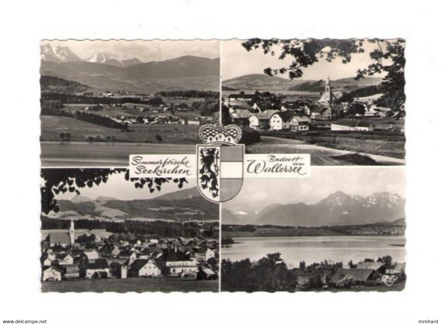 AK Seekirchen Am Wallersee Gelaufen Salzburg Österreich - Seekirchen Am Wallersee