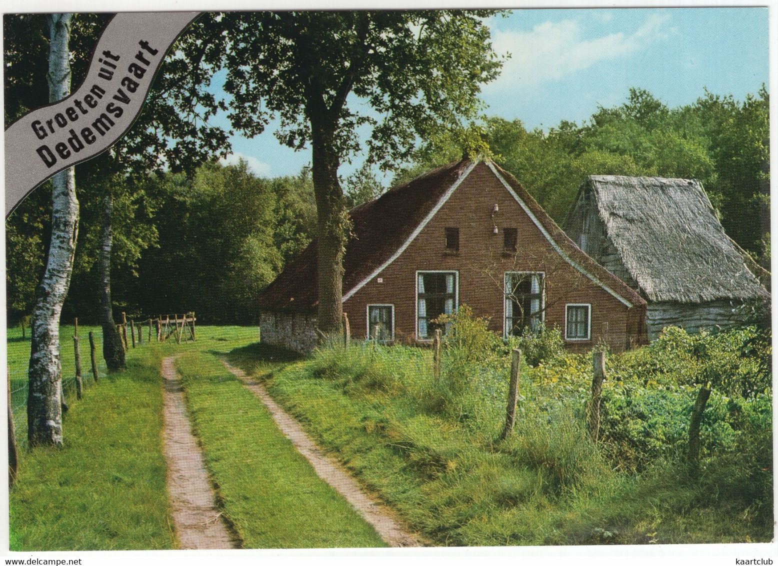 Groeten Uit Dedemsvaart - (Overijssel, Nederland / Holland) - Nr. L 6651 - Karrespoor Langs Boerderij - Dedemsvaart