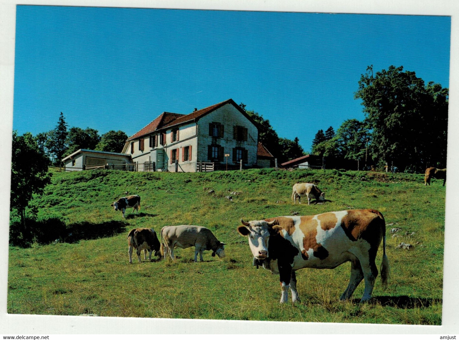 Suisse// Schweiz // Vaud // Mont-de-Baulmes Sur Ste-Croix - Baulmes