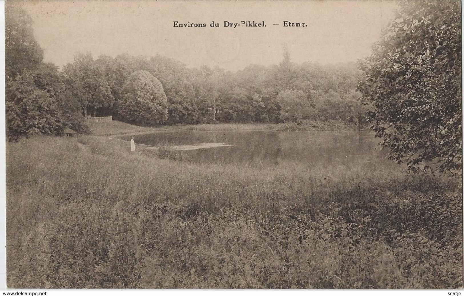 Environs Du Dry-Pikkel.   -   Etang - Grimbergen