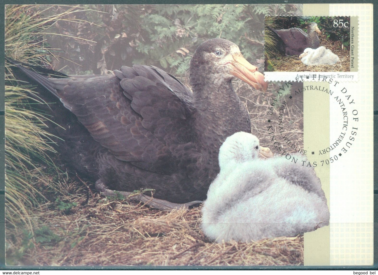 AAT - 14.5.1992 - CM/MK FDC - GIANT PETREL - Yv 92 - Lot 24874 - Maximum Cards