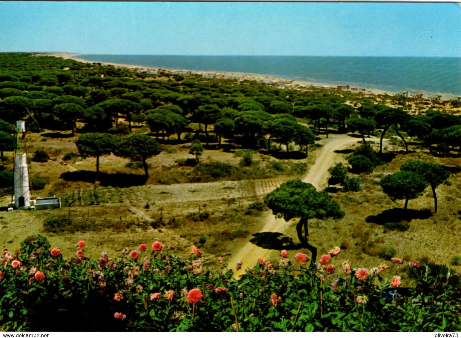 HUELVA (COSTA DE LA LUZ) - Vista Parcial De Mazagón - Huelva