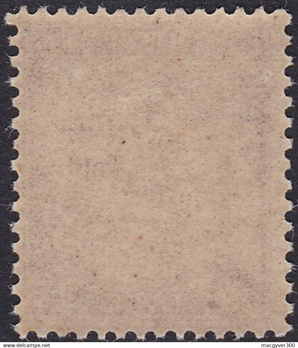 FRANCE, 1893-1935, Timbre Taxe ( Yvert 40 Lilas-brun Sur Paille) - 1859-1959 Mint/hinged
