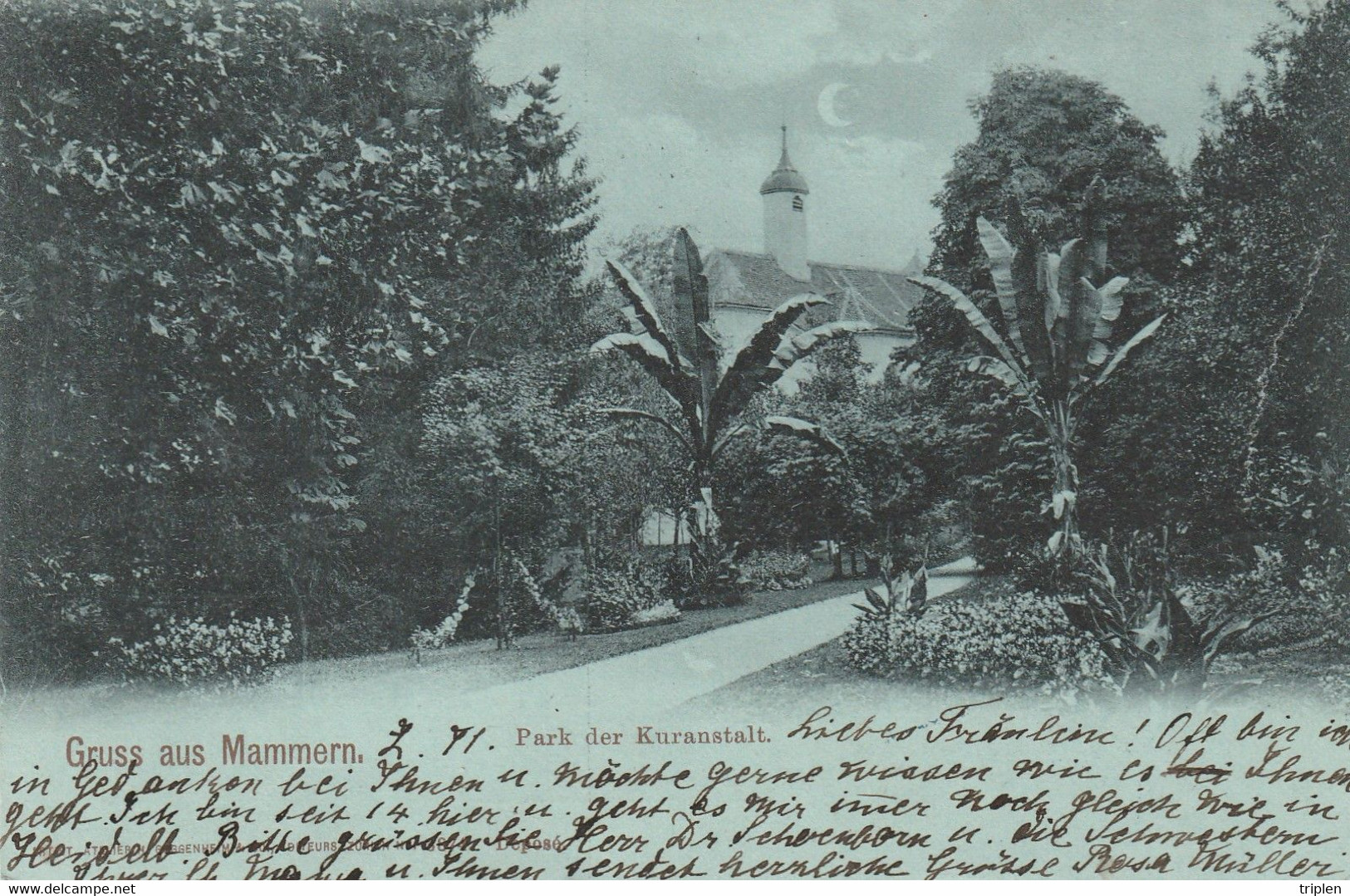 Gruss Aus Mammern - Park Der Kuranstalt - Mammern