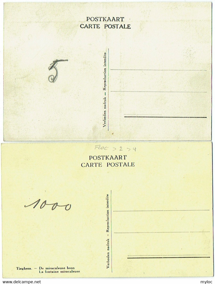 2x Tiegem/Tieghem. De Predikstoel + De Miraculeuse Bron. Lot Van 2 Kaarten. - Anzegem
