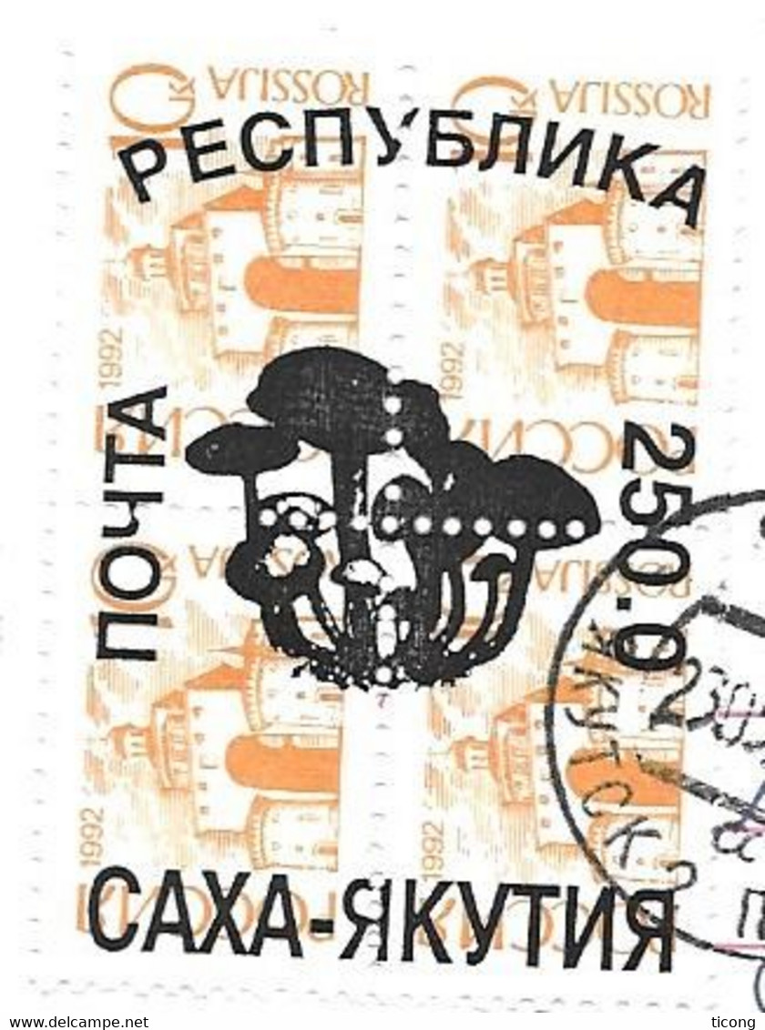 YAKUTSK SIBERIE RUSSIE 1994, LETTRE ENTIER POSTAL URSS ILLUSTRATION OISEAUX, SURCHARGE CHAMPIGNON SUR TIMBRES RUSSES - Covers & Documents