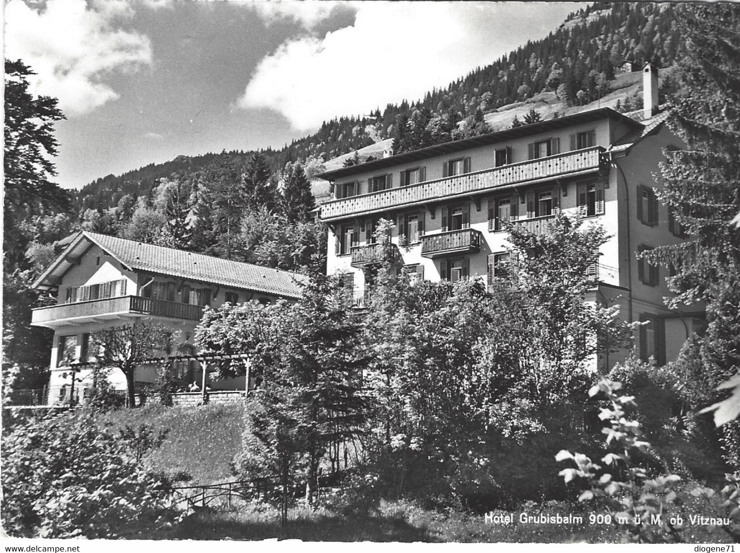 Hôtel Grubisbalm Vitznau - Vitznau