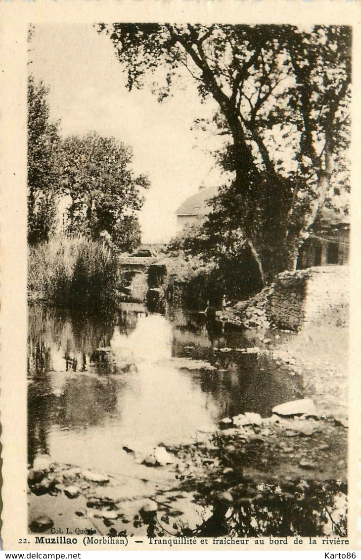 Muzillac * Vue Sur La Rivière - Muzillac