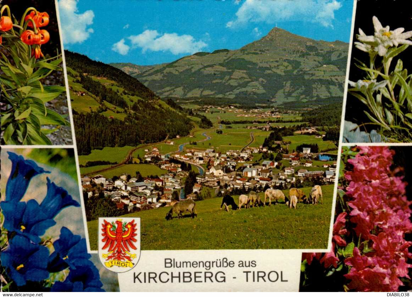 KIRCHBERG   ( AUTRICHE )      MULTI-VUES - Kirchberg