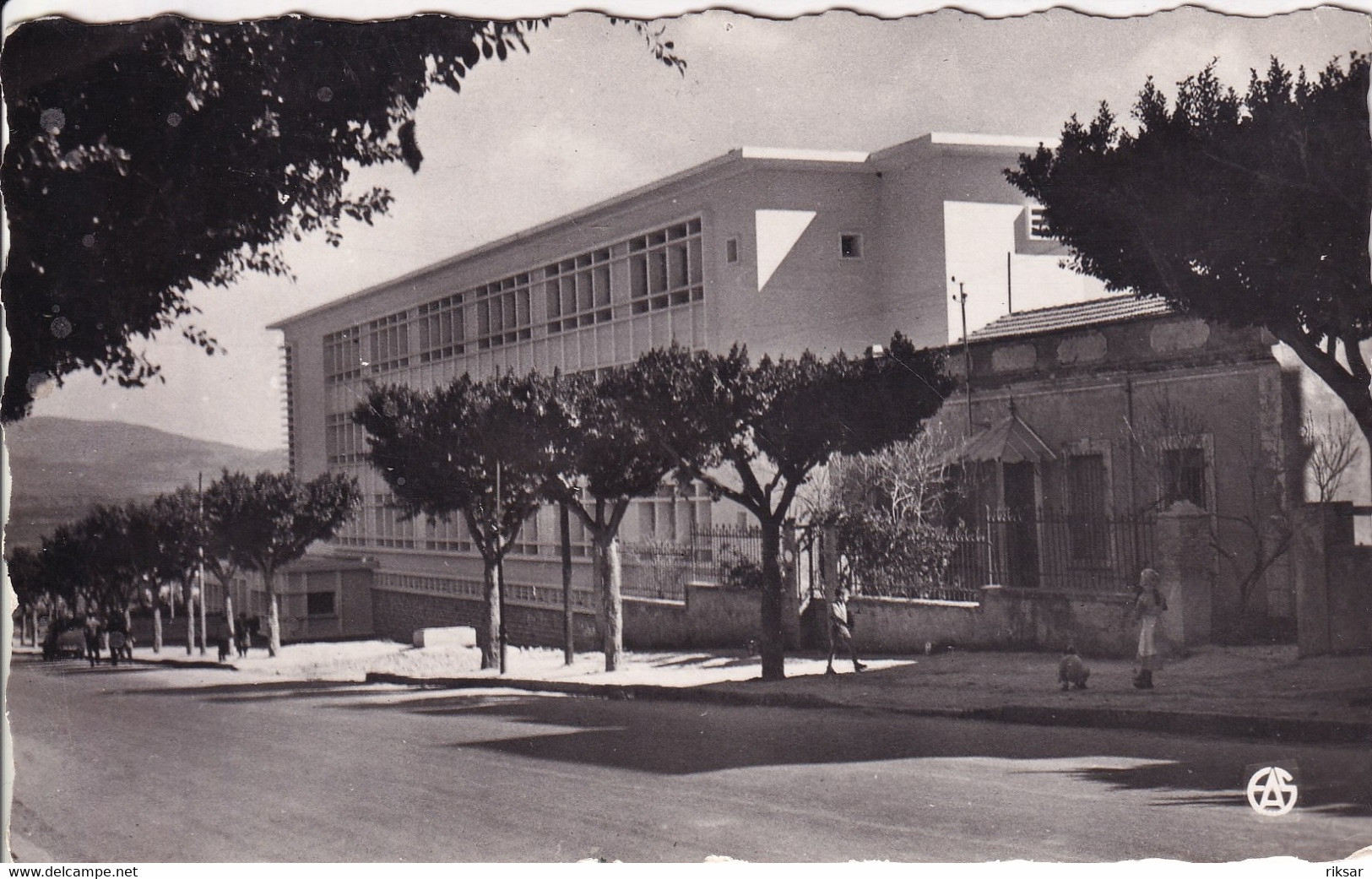 ALGERIE(GUELMA) ECOLE - Guelma