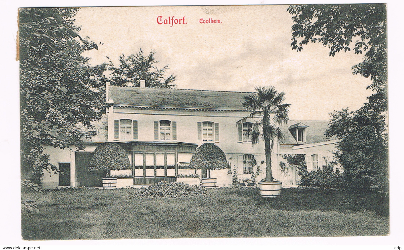 Cpa  Calfort    1909 - Puurs