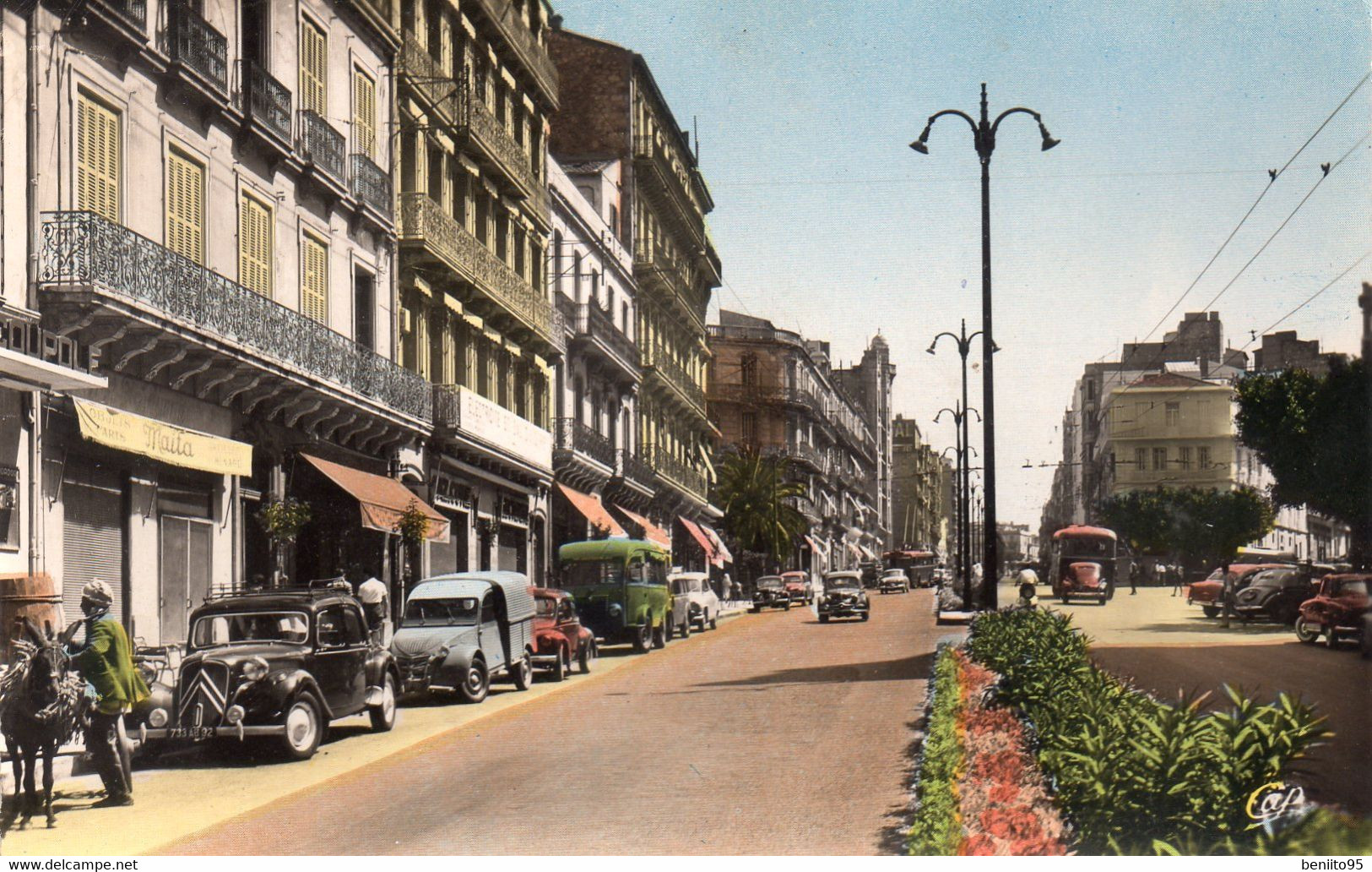 CPSM D'ORAN - Le Boulevard Maréchal-Joffre. - Oran