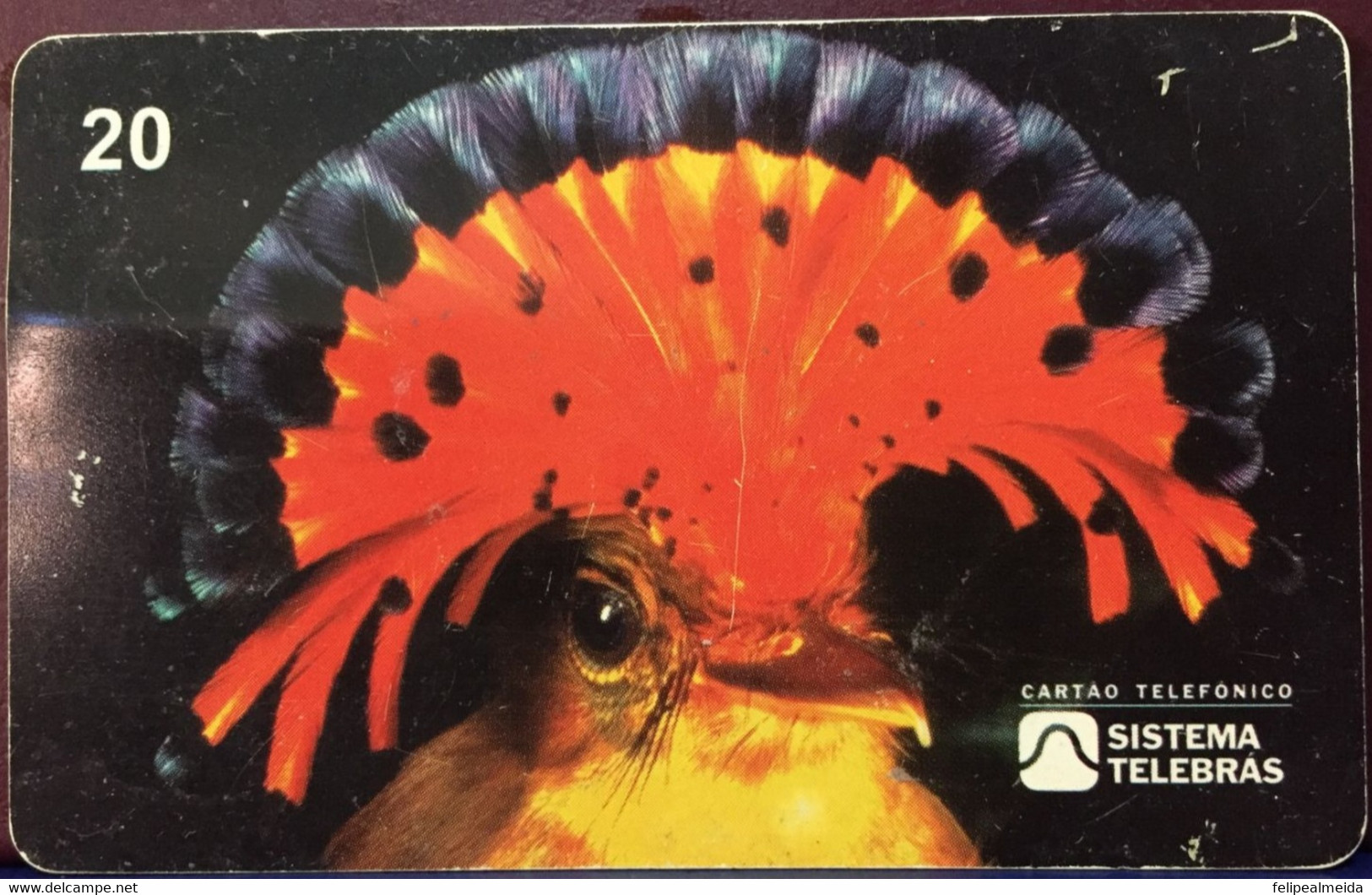 Phone Card Manufactured By Telebras In 1998 - Series Aves Do Brsil - Popular Name Maria Leque - Species Onychirhynchus C - Aigles & Rapaces Diurnes