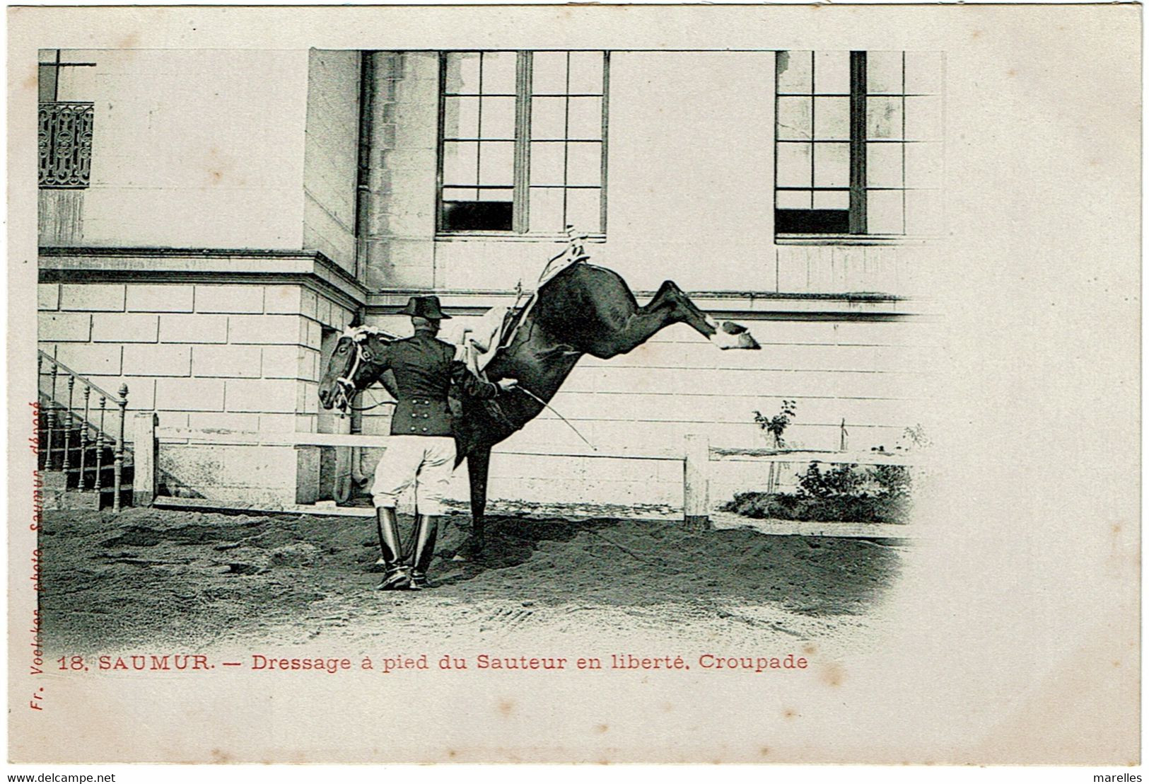 CPA Saumur 49. Dressage Au Pied Du Sauteur En Liberté, Croupade, Non Divisée, Jamais Circulé - Saumur