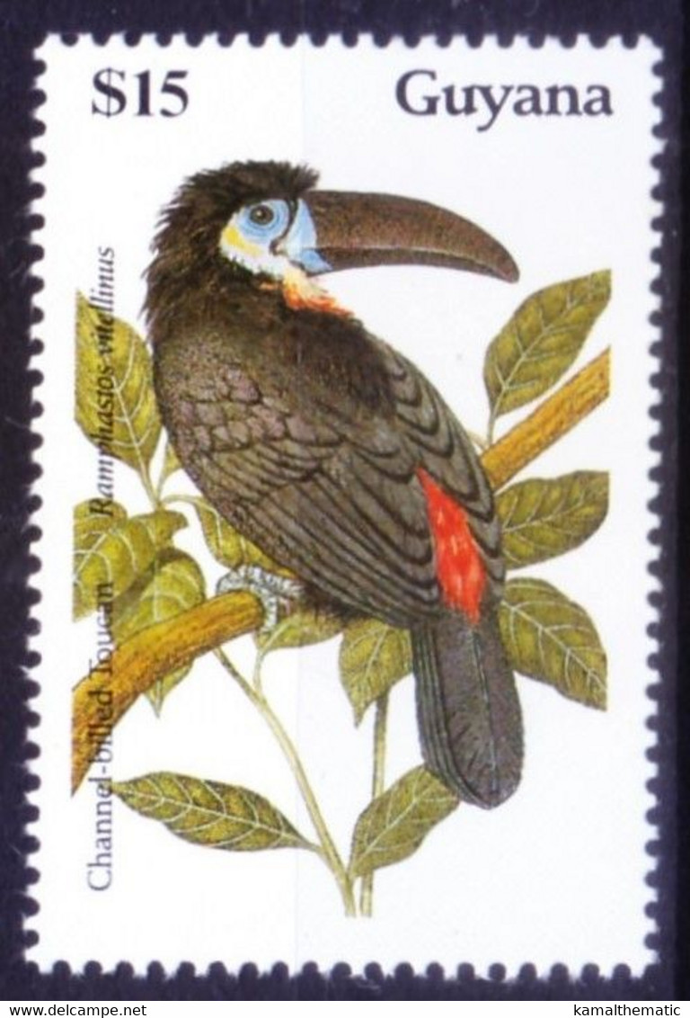 Guyana 1990 MNH, Birds, Channel-billed Toucan - Koekoeken En Toerako's