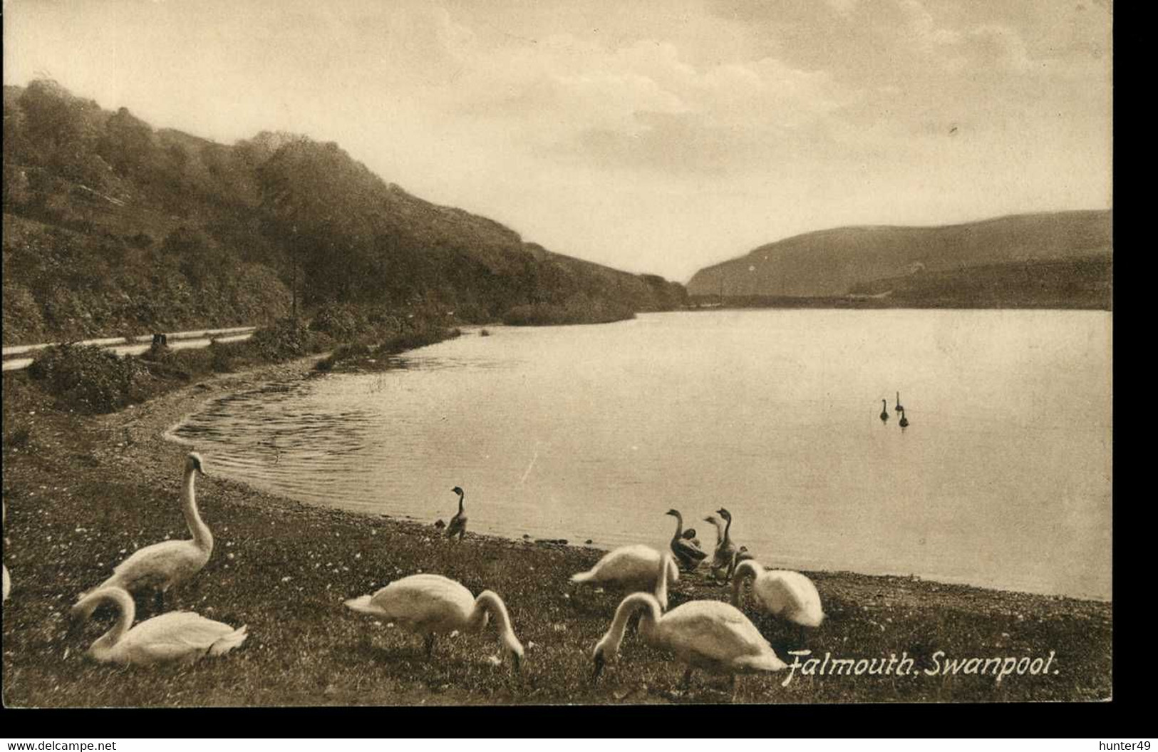 Falmouth Swanpool Frith - Falmouth