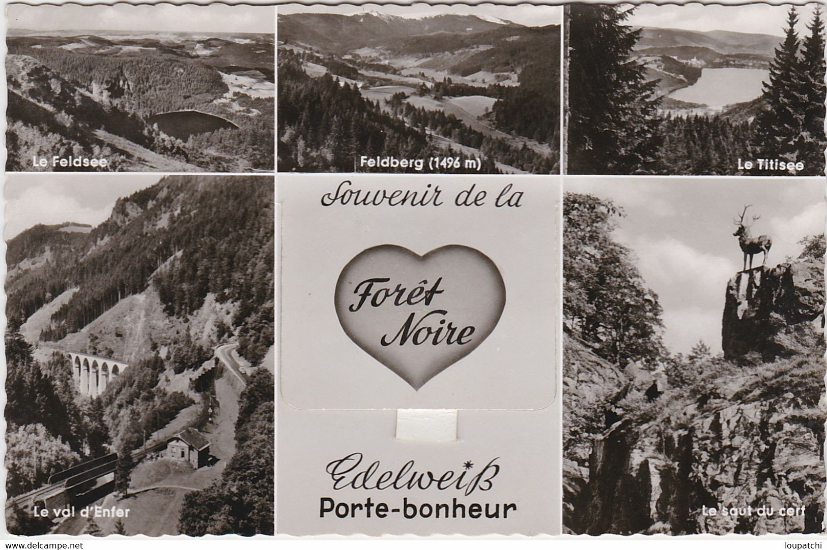 Souvenir De La Foret Noire Edelweiss Porte Bonheur - Feldberg