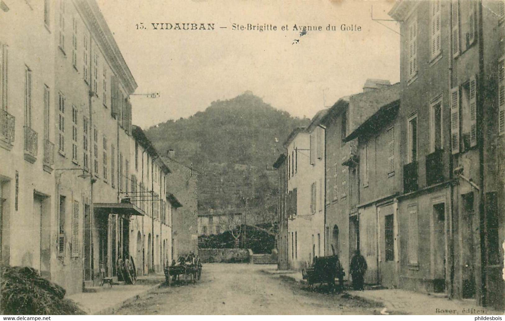 VAR  VIDAUBAN    Ste Brigitte Et Avenue Du Golfe - Vidauban