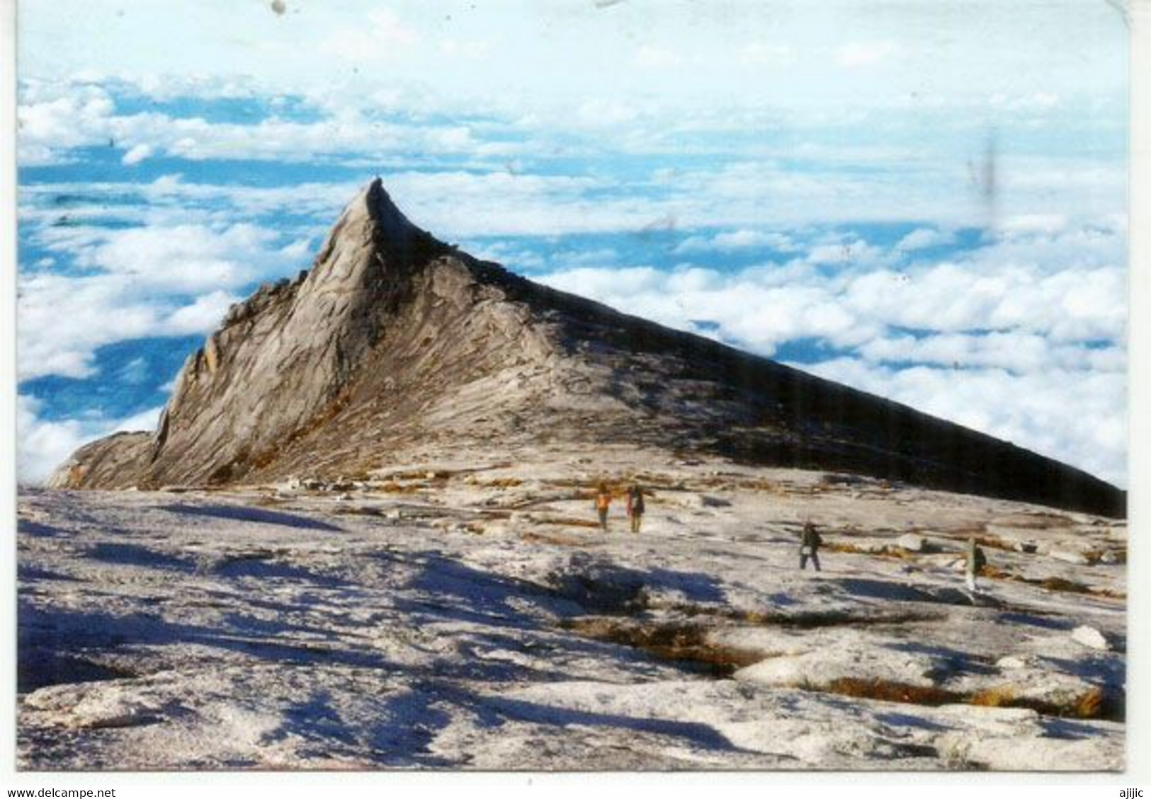 MALAISIE. MALAYSIA. Mt Kinabalu (Unesco World Heritage) 4095 M. Carte Postale à Andorra (Timbres Fruit Durian) - Klimmen