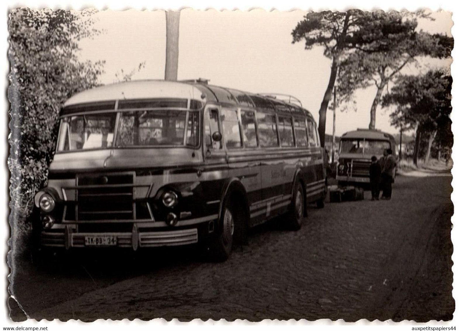 Photo Originale Autocar & Autobus, 2 Autocars Panoramiques & Valises Au Bord De La Route De Claußnitz à Id. Vs 1950/60. - Coches