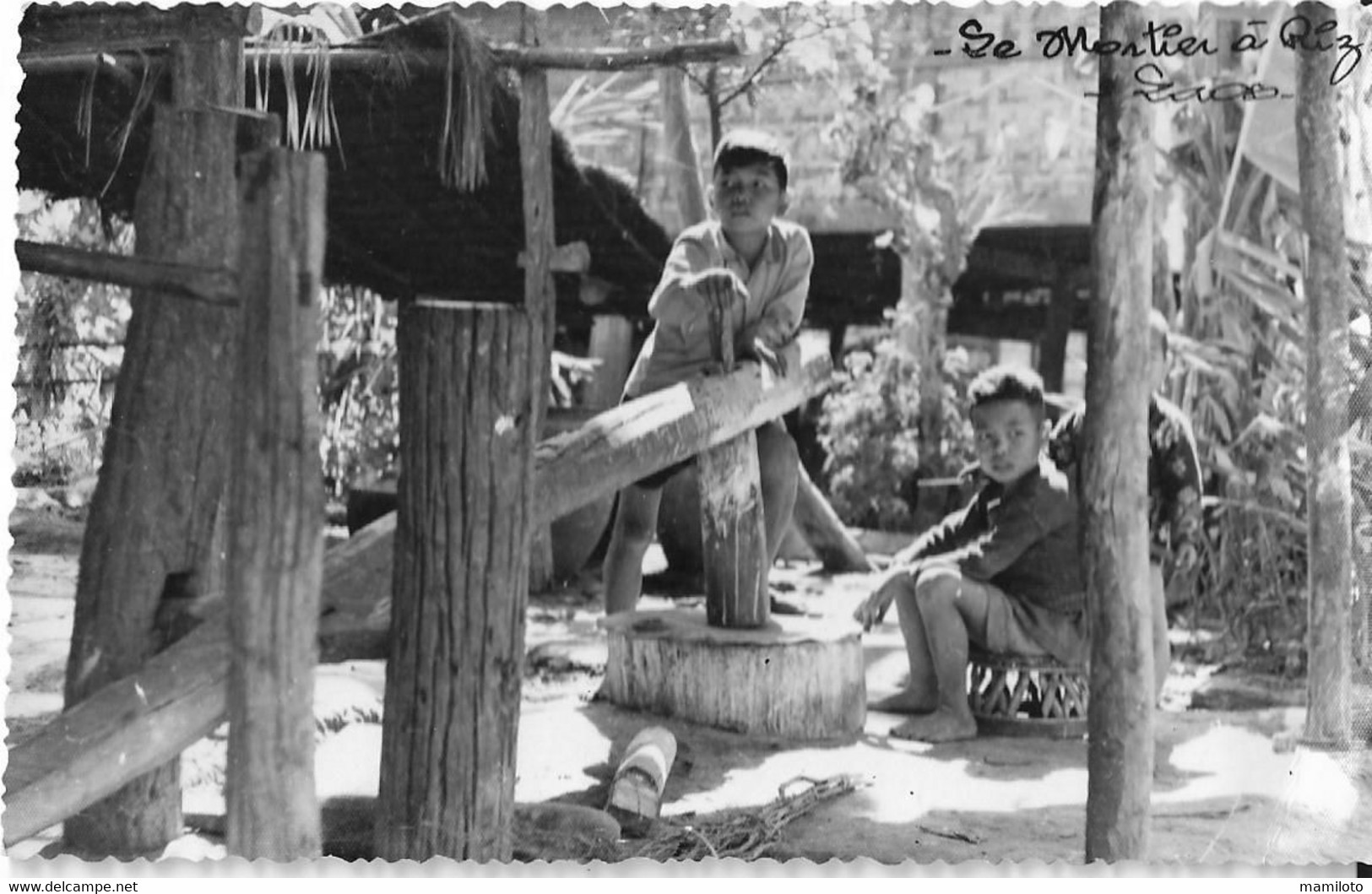 LAOS  ( Carte Photo ) Le Mortier à Riz - Laos