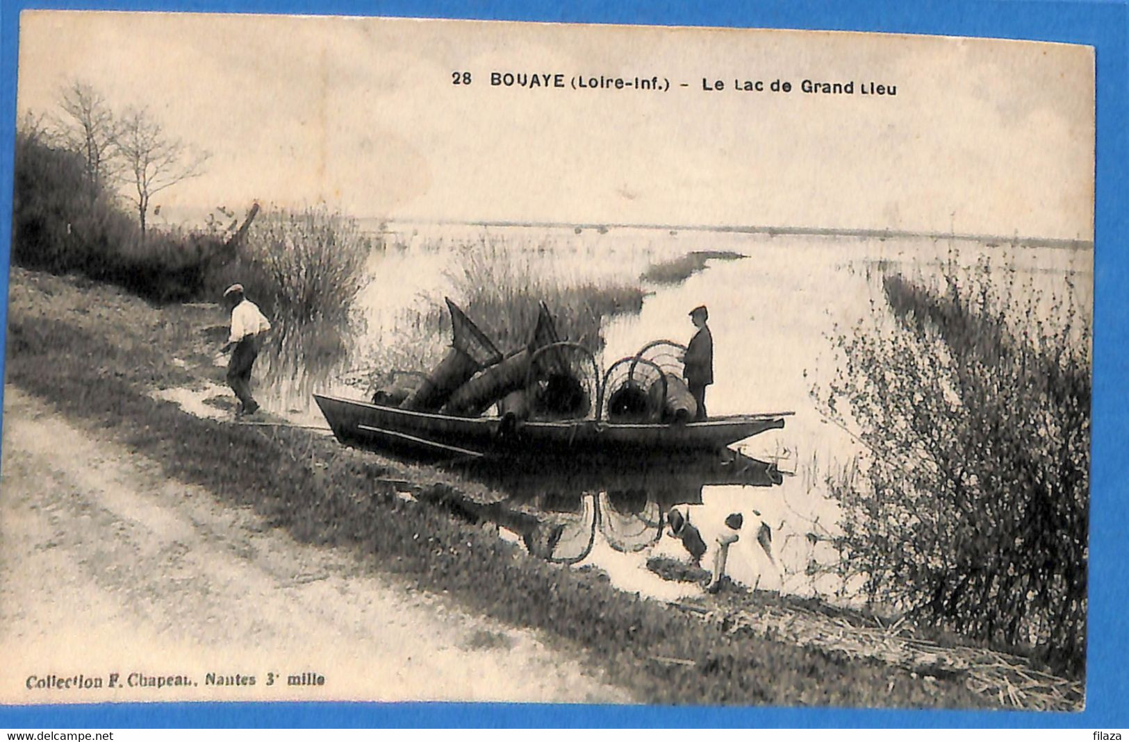 44 -  Loire Atlantique -   Bouaye - Le Lac De Grand Lieu  (N7365) - Bouaye